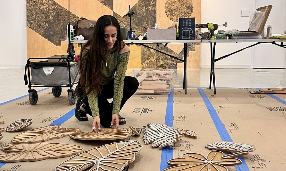 Amanda Linares Artist in Residency