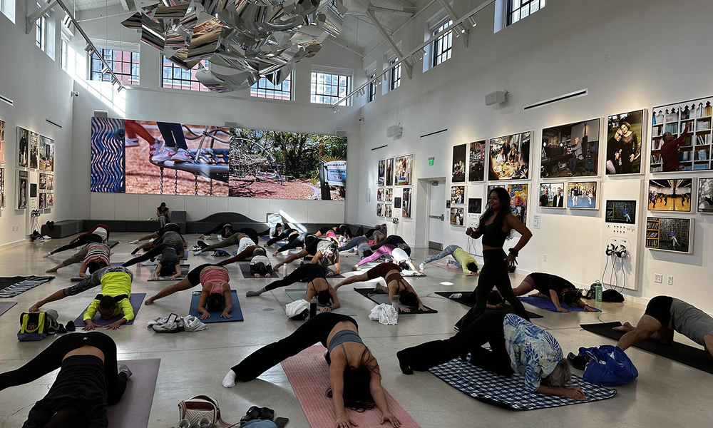 Feb 14 MOAD MOVES Knight Skylight Gallery