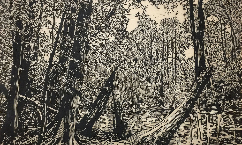 Jennifer Basile Congaree2 1