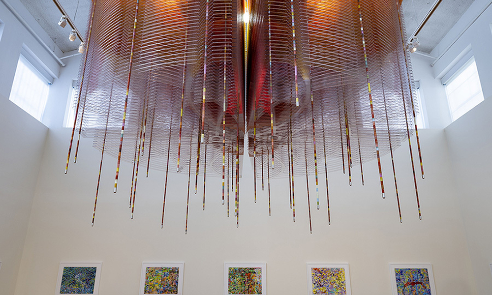 Jorge Pardo Mongrel Installation 8