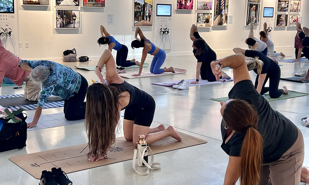 MOAD Moves Romina Carpio 03 14