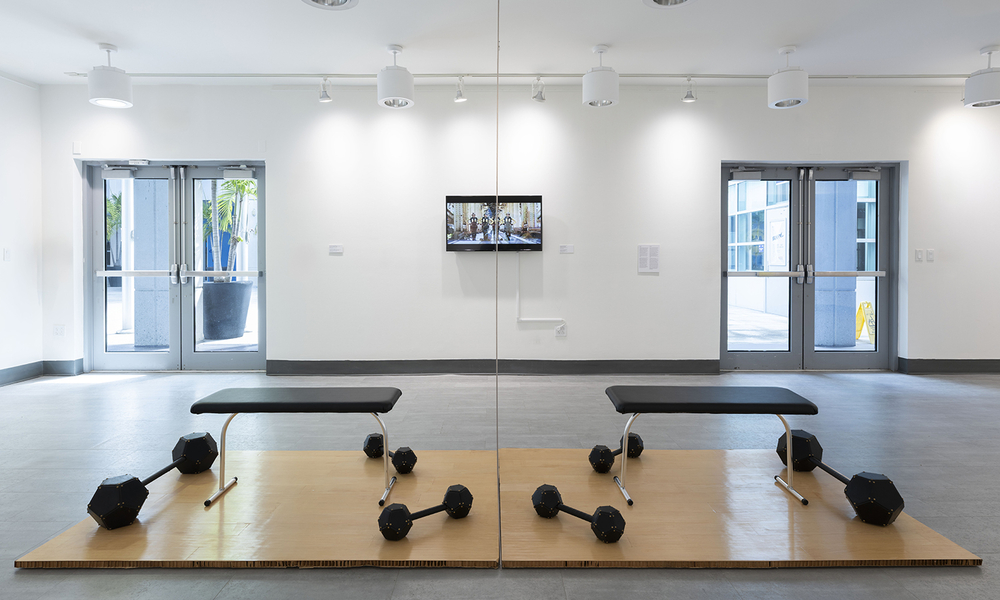 Suzercise Padron Gallery